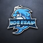 BDS ESAIP AIX